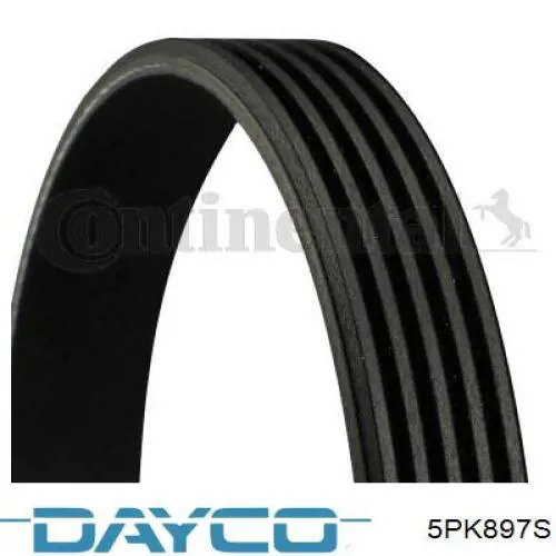 5PK897S Dayco correa trapezoidal