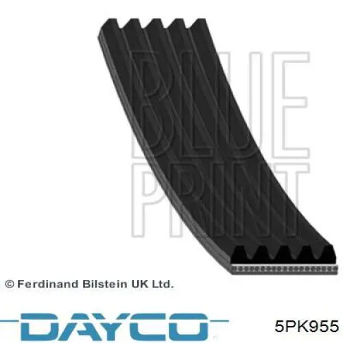 5PK955 Dayco correa trapezoidal