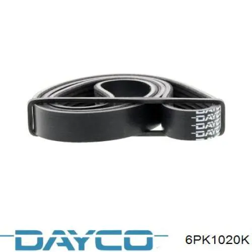 6PK1020K Dayco correa trapezoidal