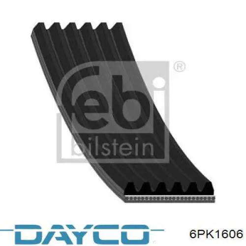 6PK1606 Dayco correa trapezoidal