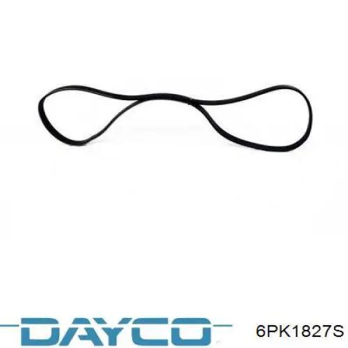 6PK1827S Dayco correa trapezoidal