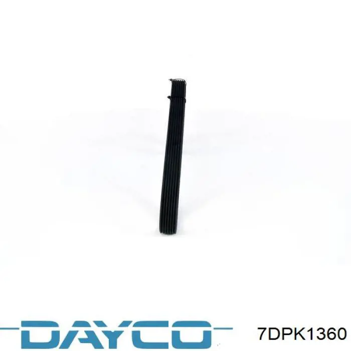 7DPK1360 Dayco correa trapezoidal