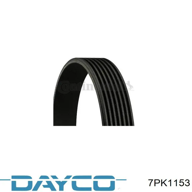 7PK1153 Dayco correa trapezoidal