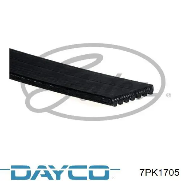 7PK1705 Dayco correa trapezoidal