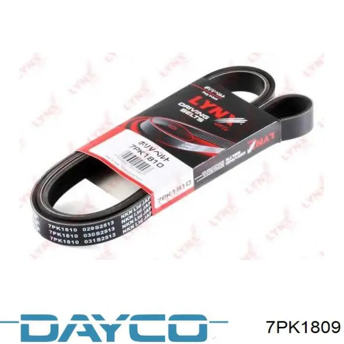 7PK1809 Dayco correa trapezoidal