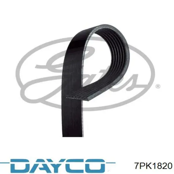 7PK1820 Dayco correa trapezoidal