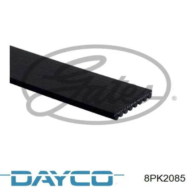 8PK2085 Dayco correa trapezoidal