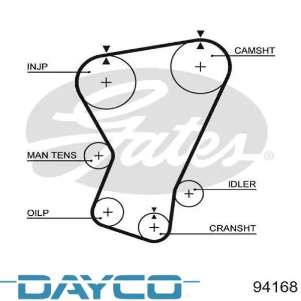 94168 Dayco correa distribucion