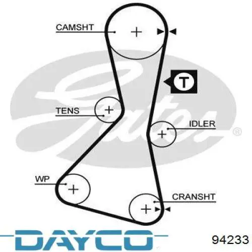 94233 Dayco correa distribucion