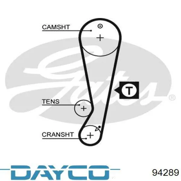 94289 Dayco correa distribucion