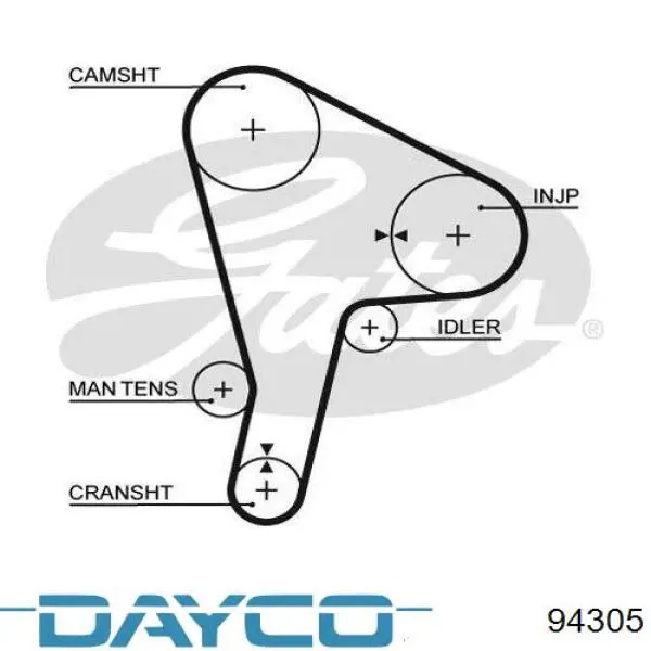 94305 Dayco correa distribucion