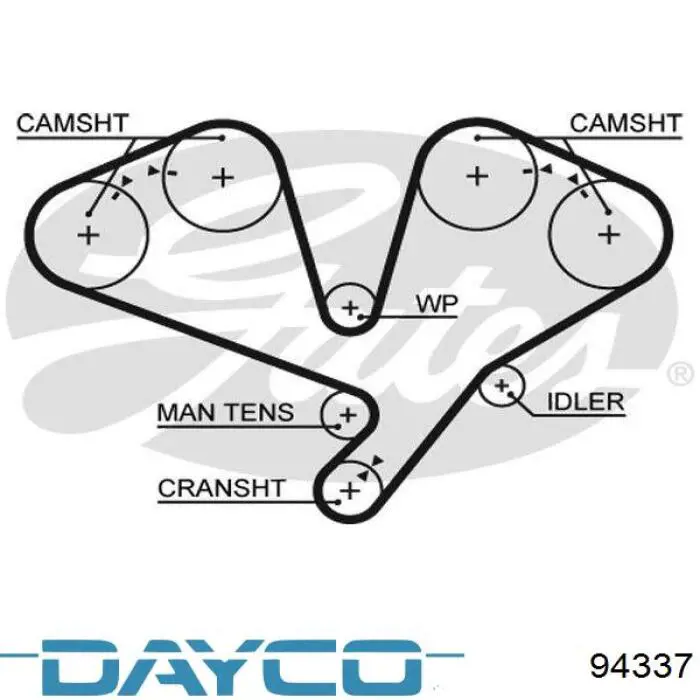 94337 Dayco correa distribucion