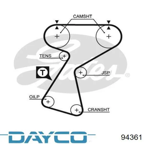 94361 Dayco correa distribucion