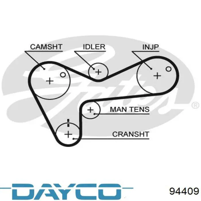 94409 Dayco correa distribucion