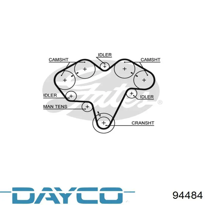 94484 Dayco correa distribucion