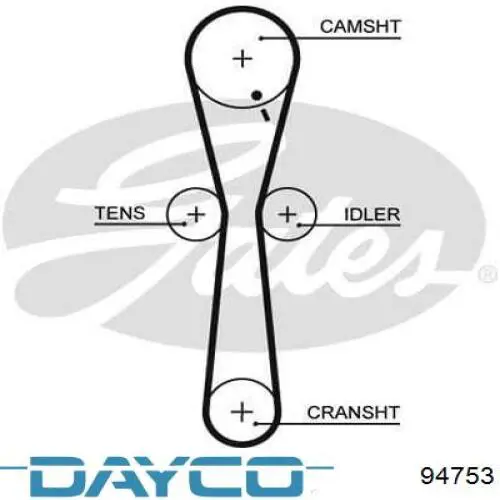 94753 Dayco correa distribucion