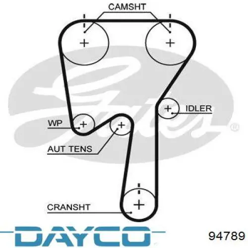 94789 Dayco correa distribucion