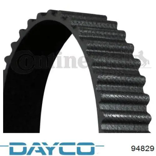 94829 Dayco correa distribucion