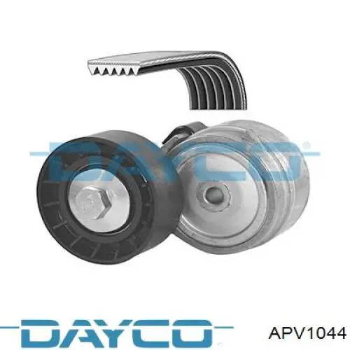 APV1044 Dayco rodillo, correa trapecial poli v