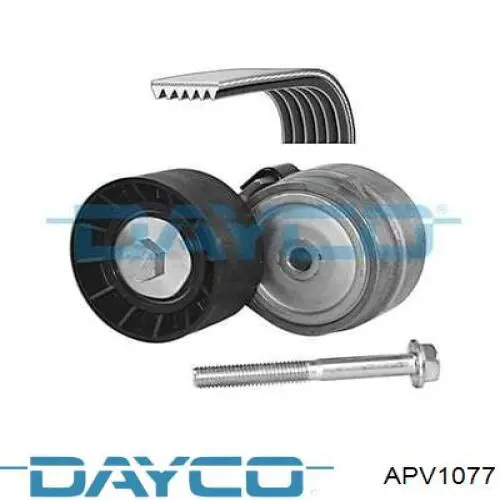 APV1077 Dayco tensor de correa, correa poli v