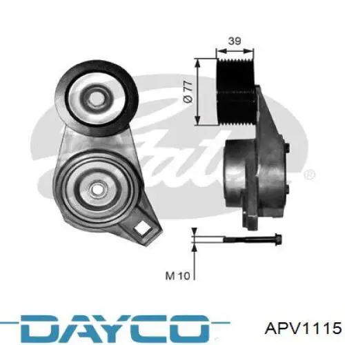 APV1115 Dayco tensor de correa, correa poli v