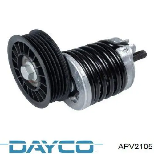 APV2105 Dayco rodillo, correa trapecial poli v