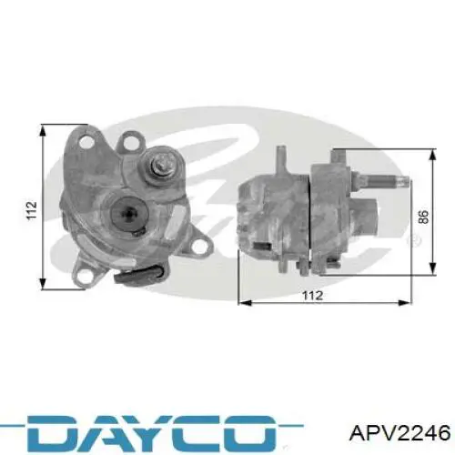 APV2246 Dayco tensor de correa, correa poli v