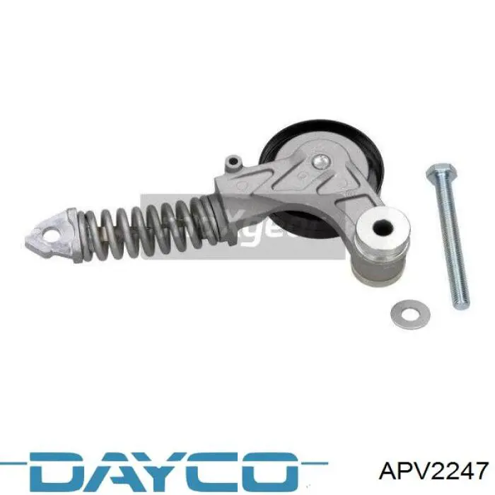 APV2247 Dayco tensor de correa, correa poli v