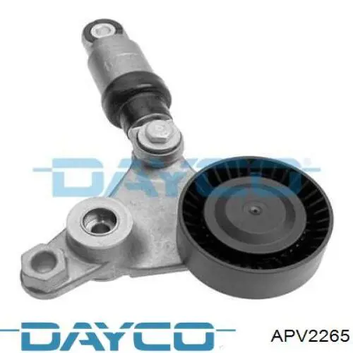 APV2265 Dayco tensor de correa, correa poli v