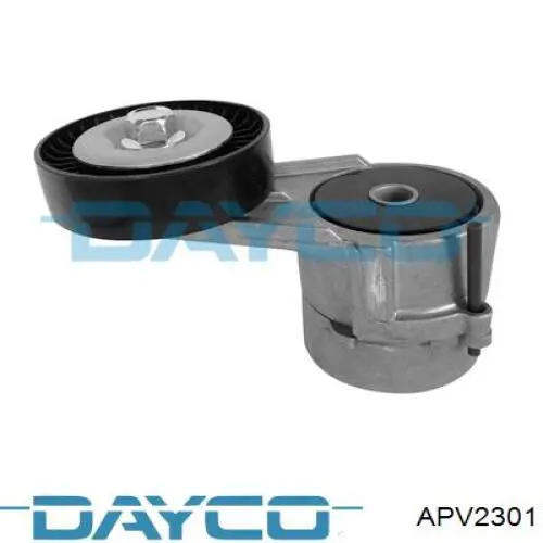 APV2301 Dayco tensor de correa, correa poli v