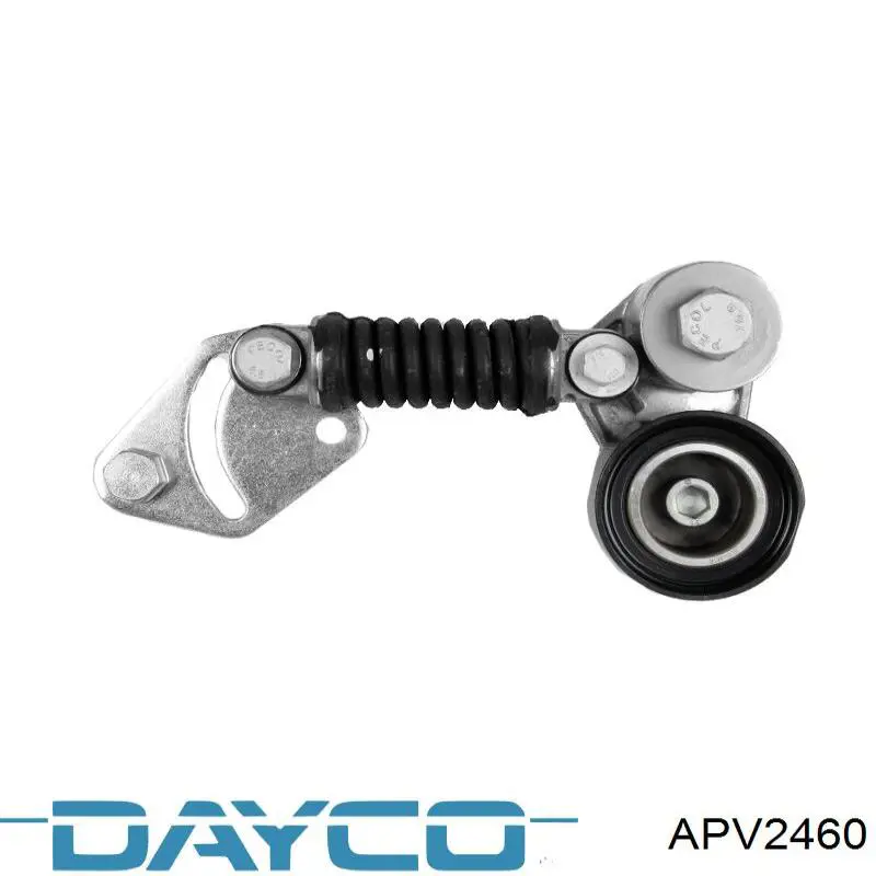 APV2460 Dayco tensor de correa, correa poli v