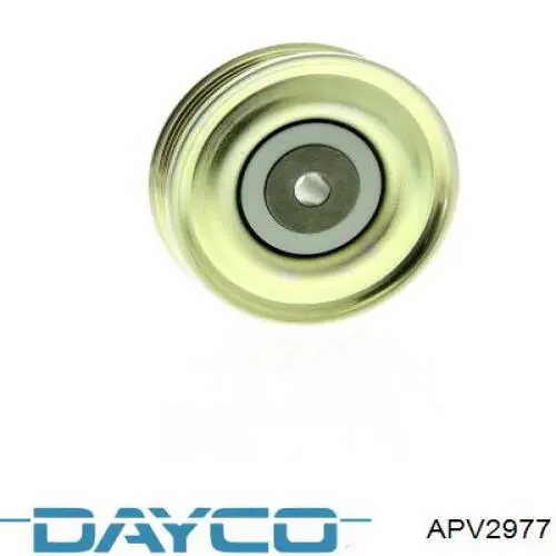 APV2977 Dayco polea inversión / guía, correa poli v