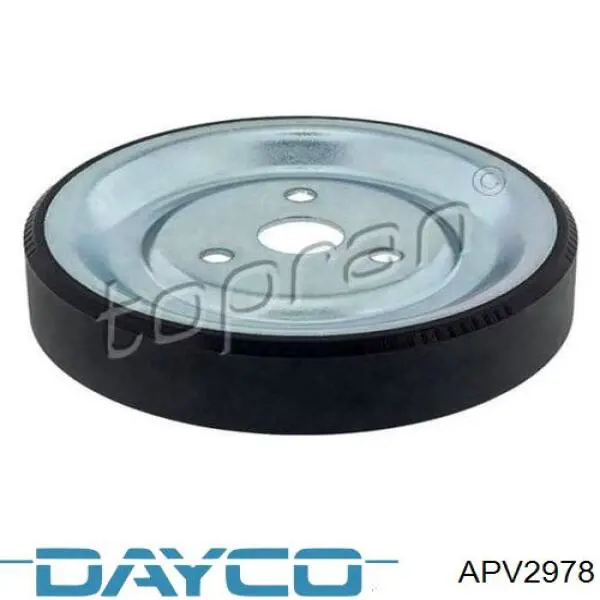 APV2978 Dayco polea, bomba de agua