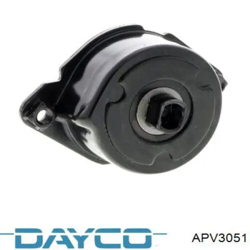 APV3051 Dayco tensor de correa, correa poli v