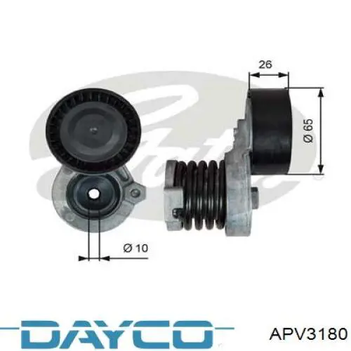 APV3180 Dayco tensor de correa, correa poli v