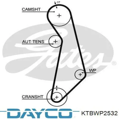 KTBWP2532 Dayco kit correa de distribución