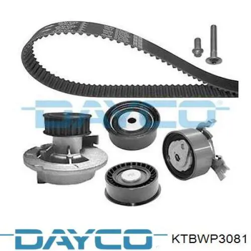 KTBWP3081 Dayco kit correa de distribución