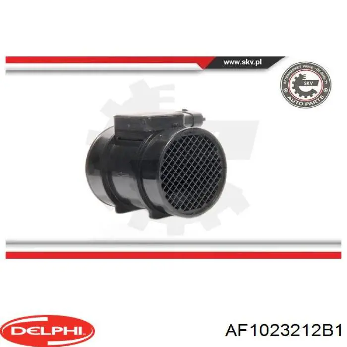 AF10232-12B1 Delphi sensor de flujo de aire/medidor de flujo (flujo de aire masibo)