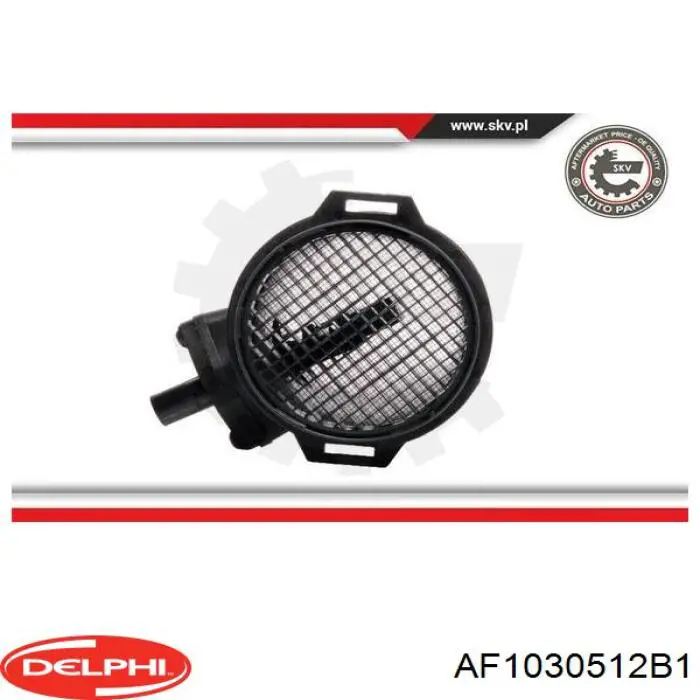 AF10305-12B1 Delphi sensor de flujo de aire/medidor de flujo (flujo de aire masibo)