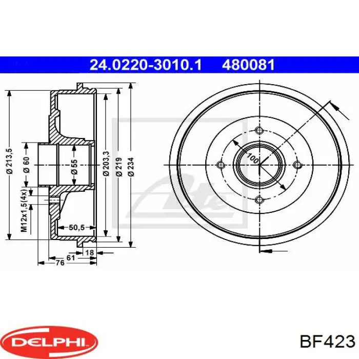 BF423 Delphi freno de tambor trasero