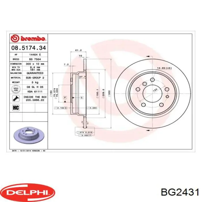 BG2431 Delphi disco de freno trasero