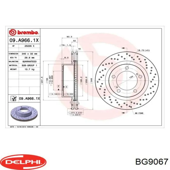 BG9067 Delphi freno de disco delantero