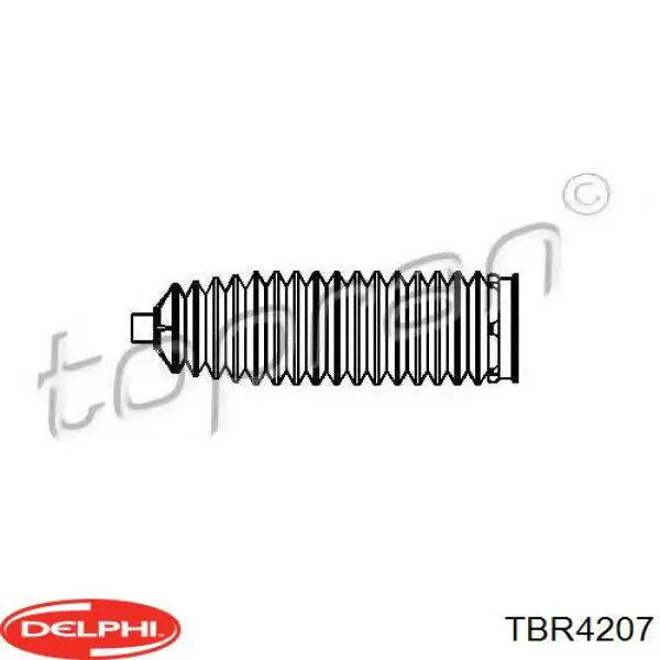 TBR4207 Delphi fuelle, dirección