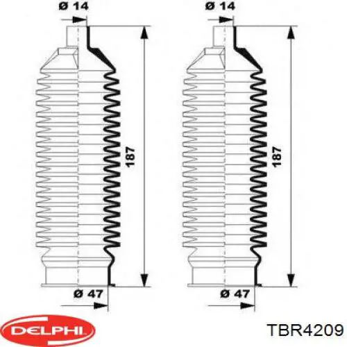 TBR4209 Delphi fuelle, dirección