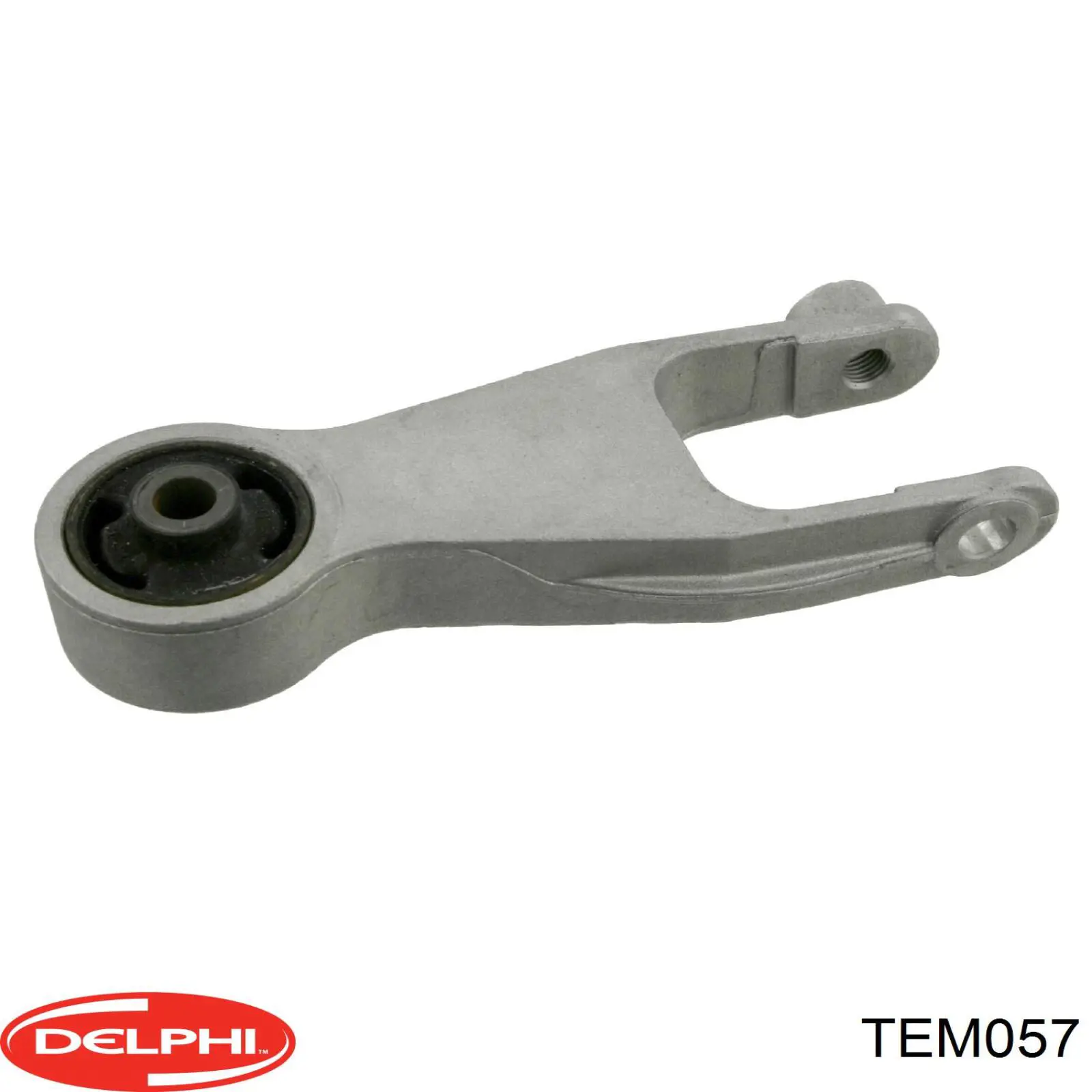 TEM057 Delphi soporte de motor trasero