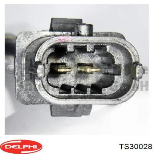 TS30028 Delphi sensor de temperatura, gas de escape, antes de catalizador