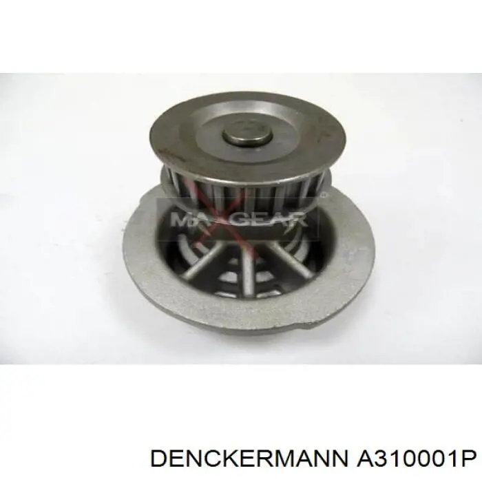 A310001P Denckermann bomba de agua