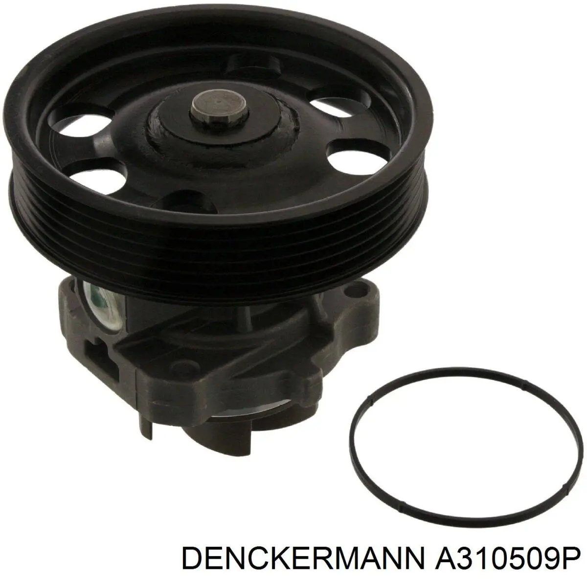 A310509P Denckermann bomba de agua