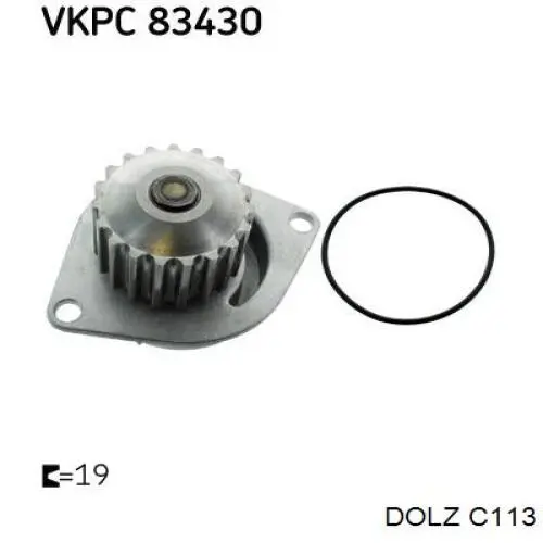 C113 Dolz bomba de agua