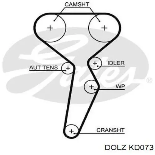 KD073 Dolz kit correa de distribución